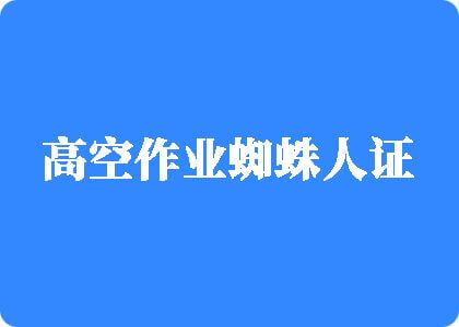 美女啊啊日逼视频高空作业蜘蛛人证